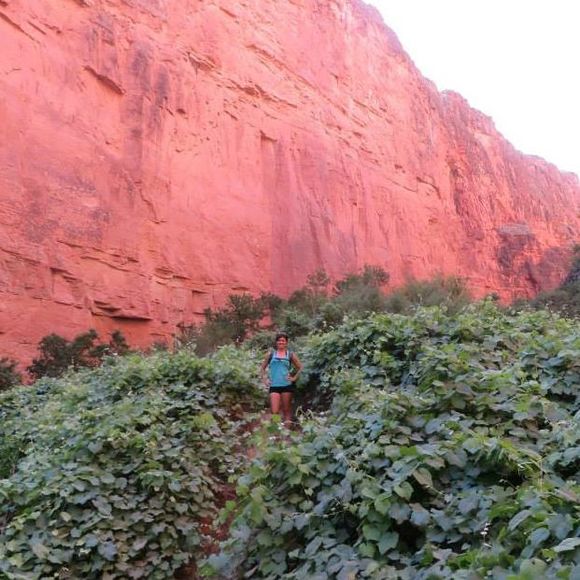 Meet your Posher, Brittany - Picture 1 of 1